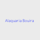 Agence immobiliere Alaquaria Bouira
